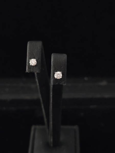 Orecchini Griffe 4 Punte